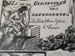 Affiche ancienne sur la Guadeloupe imp par Jarry signée par G.Costes.