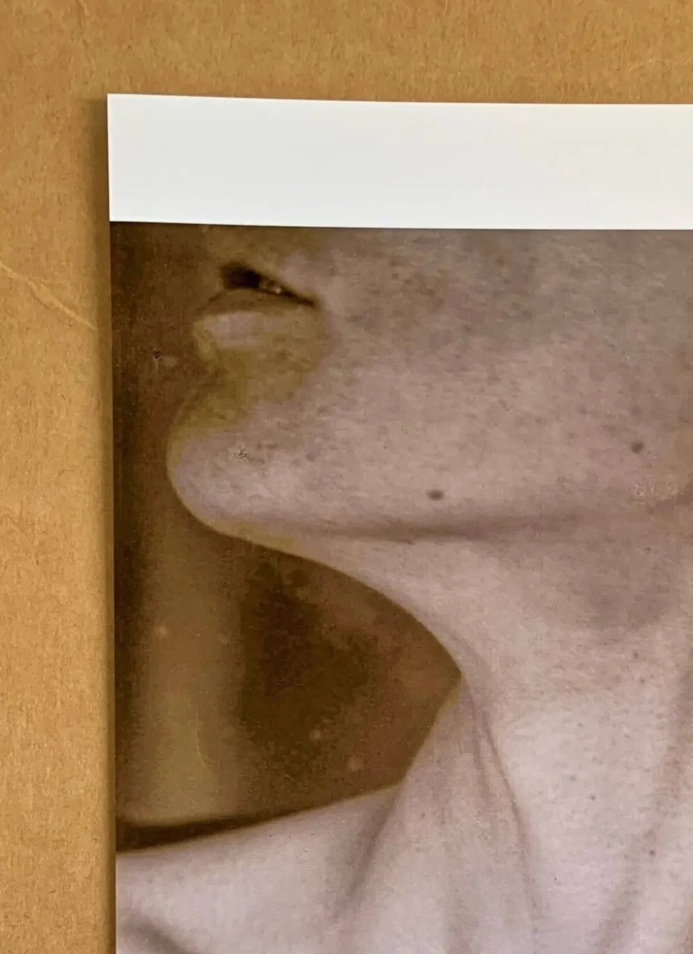 Alfred Stieglitz – Neck, 1921 Une icône du modernisme photographique