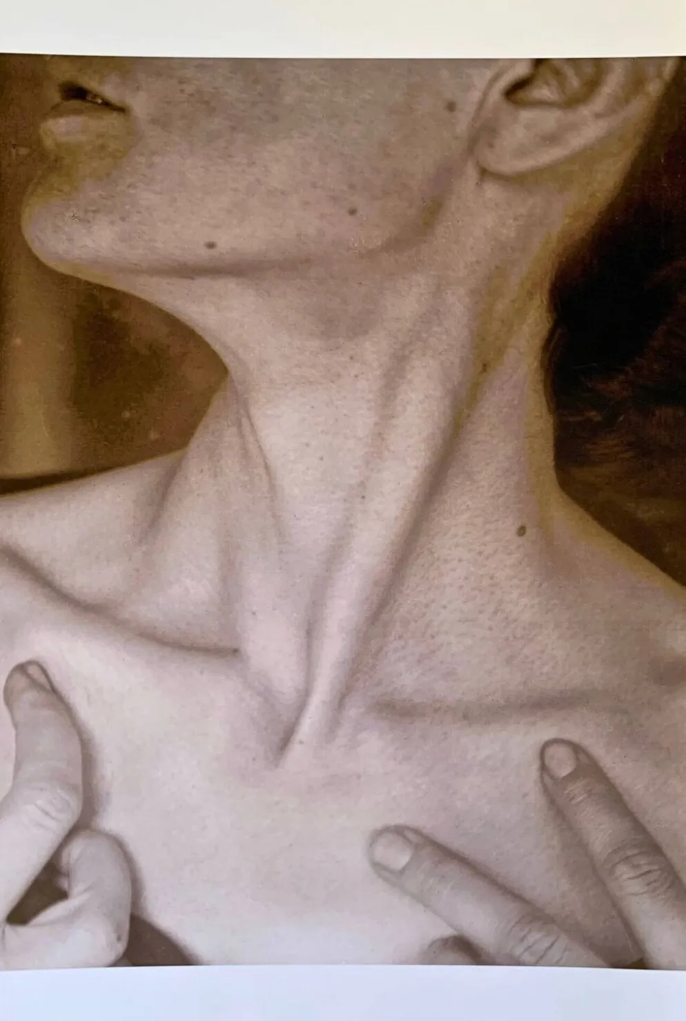 Alfred Stieglitz – Neck, 1921 Une icône du modernisme photographique