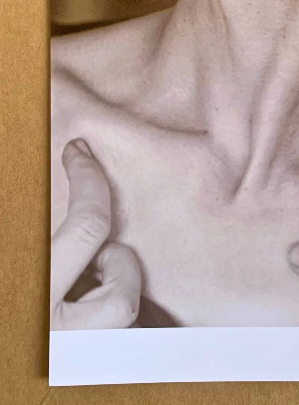 Alfred Stieglitz – Neck, 1921 Une icône du modernisme photographique