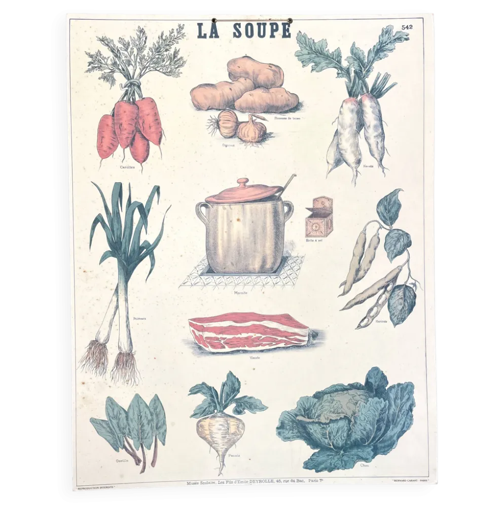 🥕 Ancienne affiche scolaire Deyrolle originale, 542, 1950 - La soupe, les