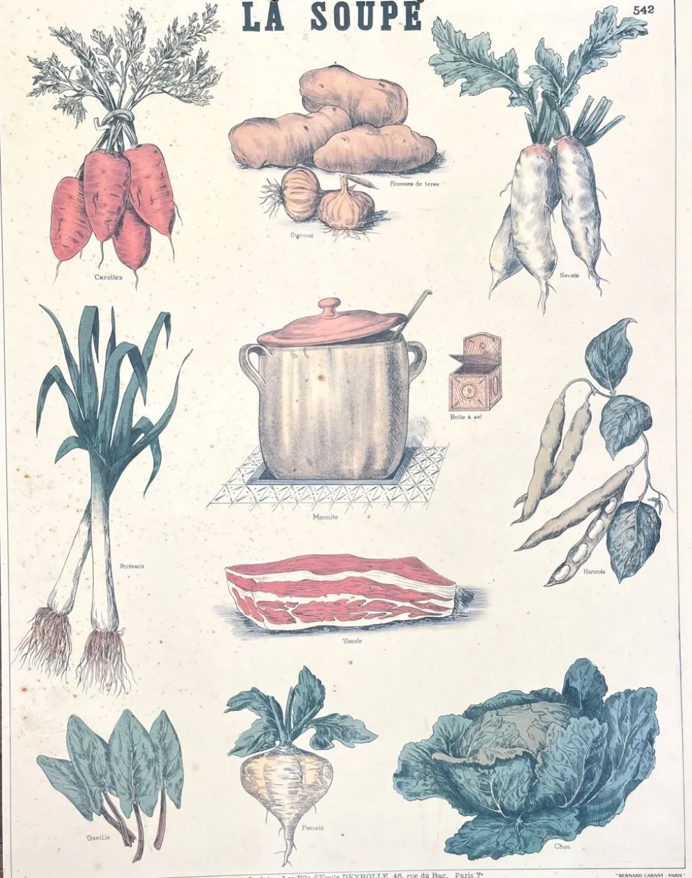🥕 Ancienne affiche scolaire Deyrolle originale, 542, 1950 - La soupe, les