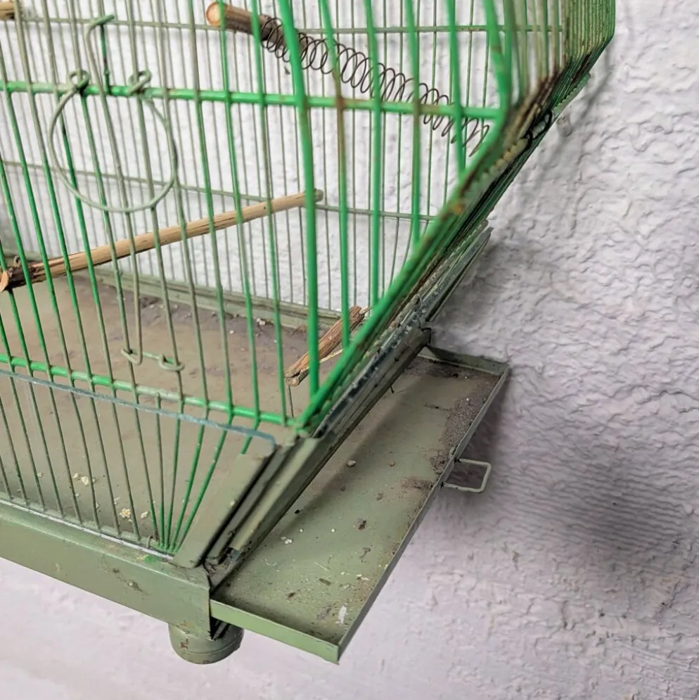 Ancienne Cage à Oiseau Verte