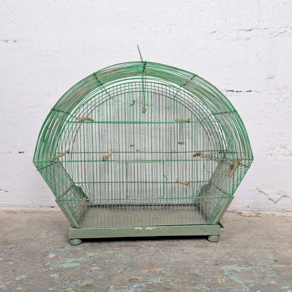 Ancienne Cage à Oiseau Verte