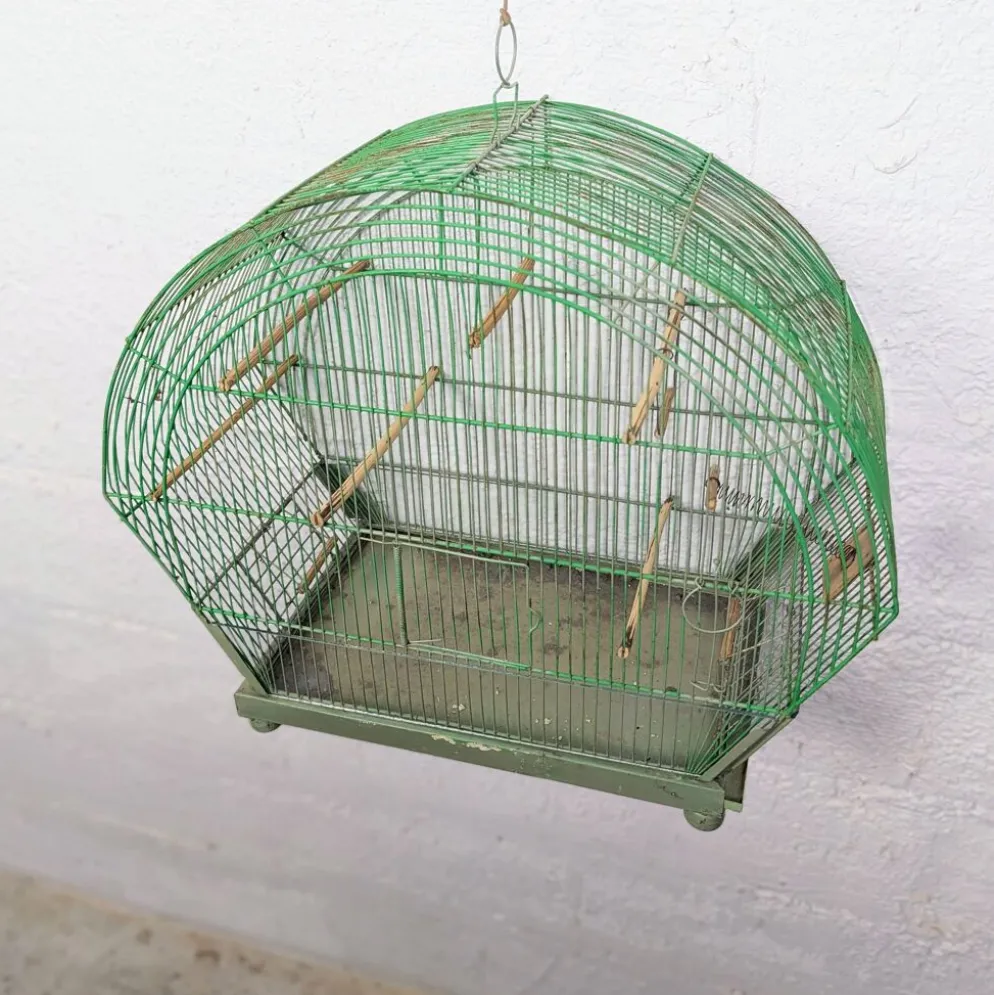Ancienne Cage à Oiseau Verte