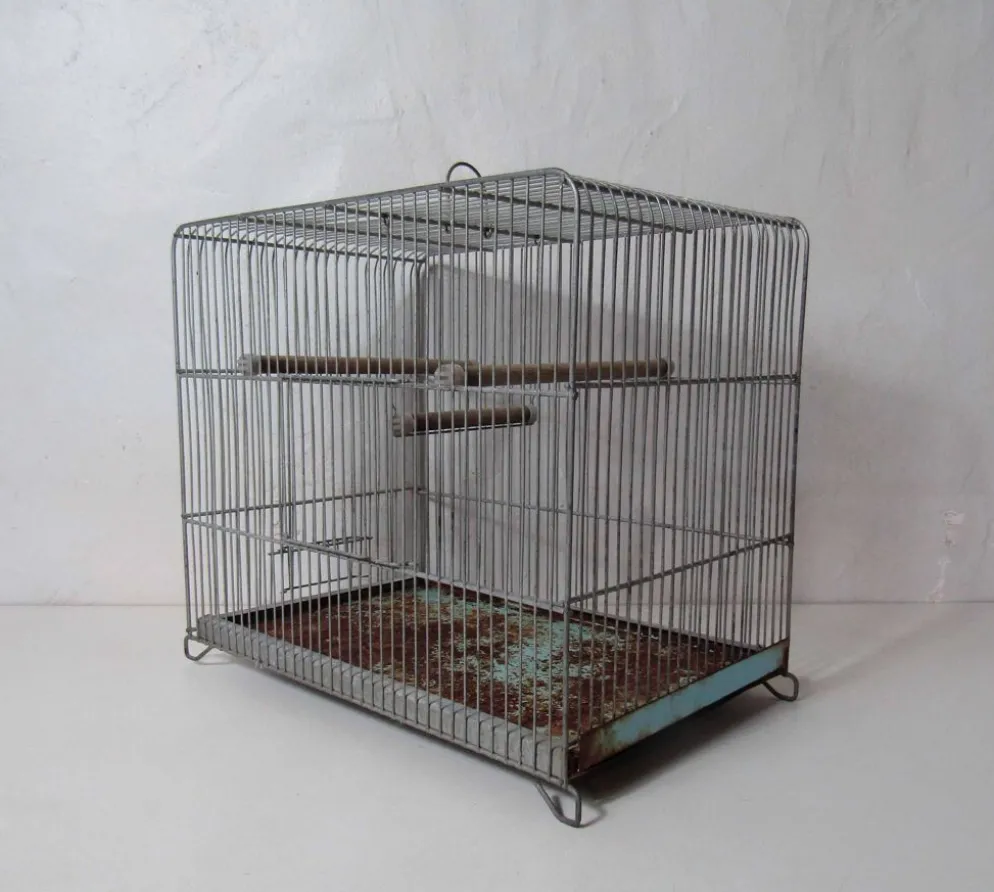 Ancienne cage à oiseau vert mint métal vintage