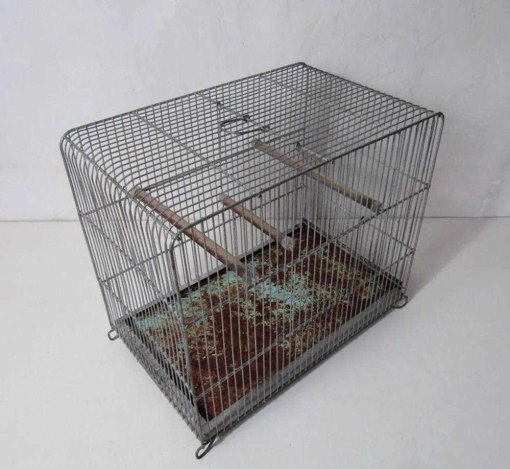 Ancienne cage à oiseau vert mint métal vintage