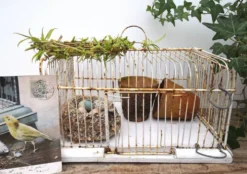 Ancienne cage à oiseaux