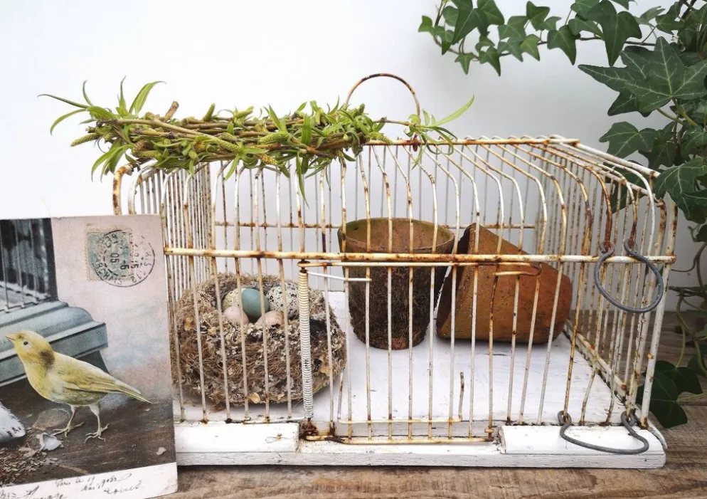 Ancienne cage à oiseaux
