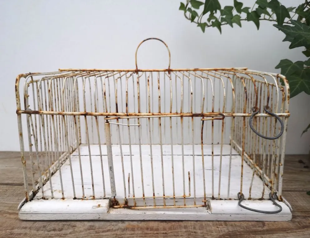 Ancienne cage à oiseaux
