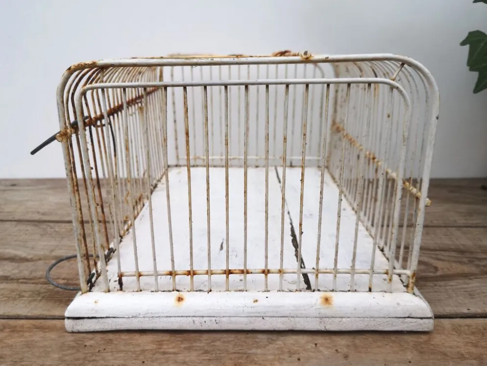 Ancienne cage à oiseaux