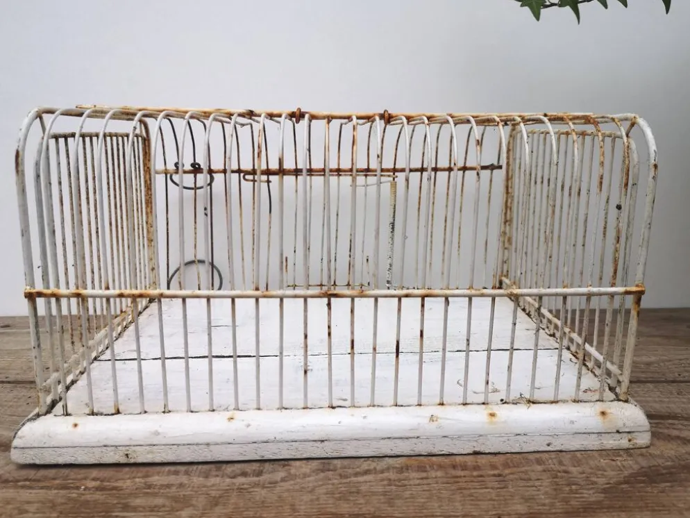 Ancienne cage à oiseaux