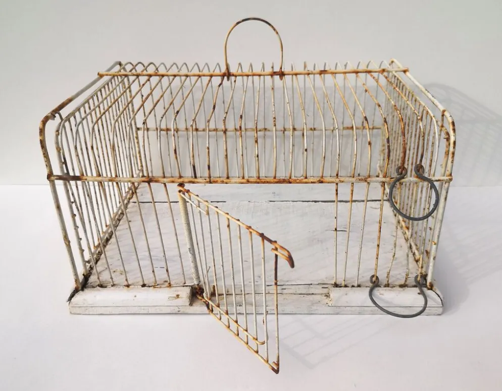Ancienne cage à oiseaux