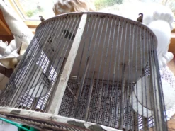 Ancienne cage à oiseaux