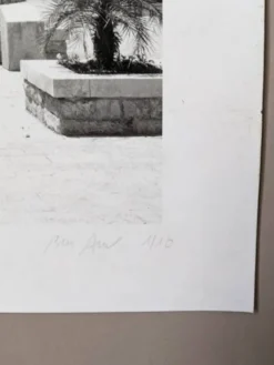 Ancienne photographie 