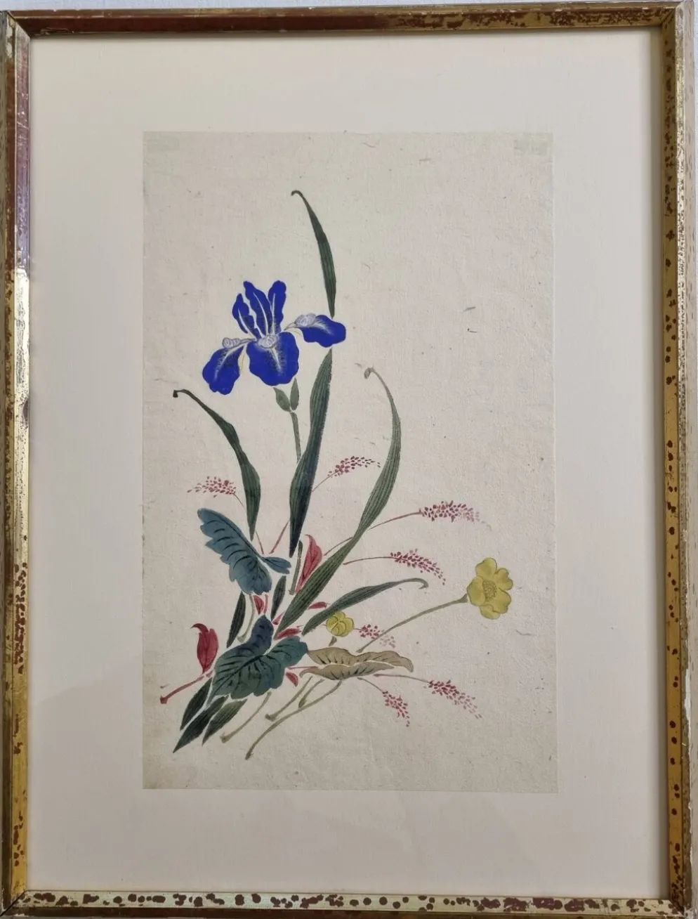 Aquarelle japonaise ancienne, Iris, ère Meiji, vers 1900, 33 × 43 cm