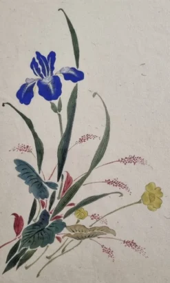 Aquarelle japonaise ancienne, Iris, ère Meiji, vers 1900, 33 × 43 cm