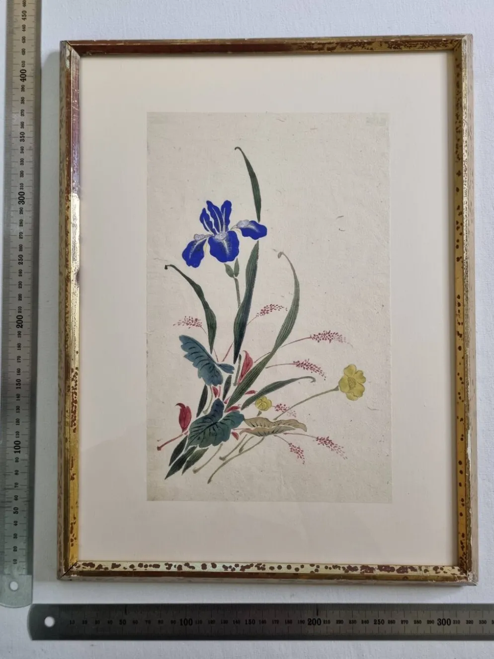 Aquarelle japonaise ancienne, Iris, ère Meiji, vers 1900, 33 × 43 cm