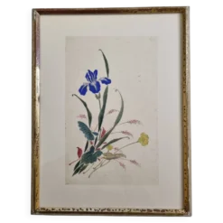 Aquarelle japonaise ancienne, Iris, ère Meiji, vers 1900, 33 × 43 cm