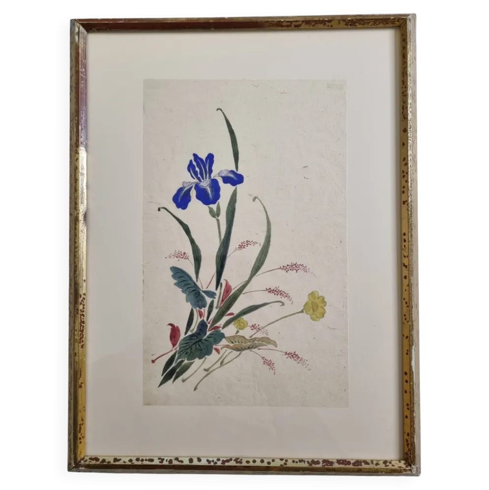 Aquarelle japonaise ancienne, Iris, ère Meiji, vers 1900, 33 × 43 cm