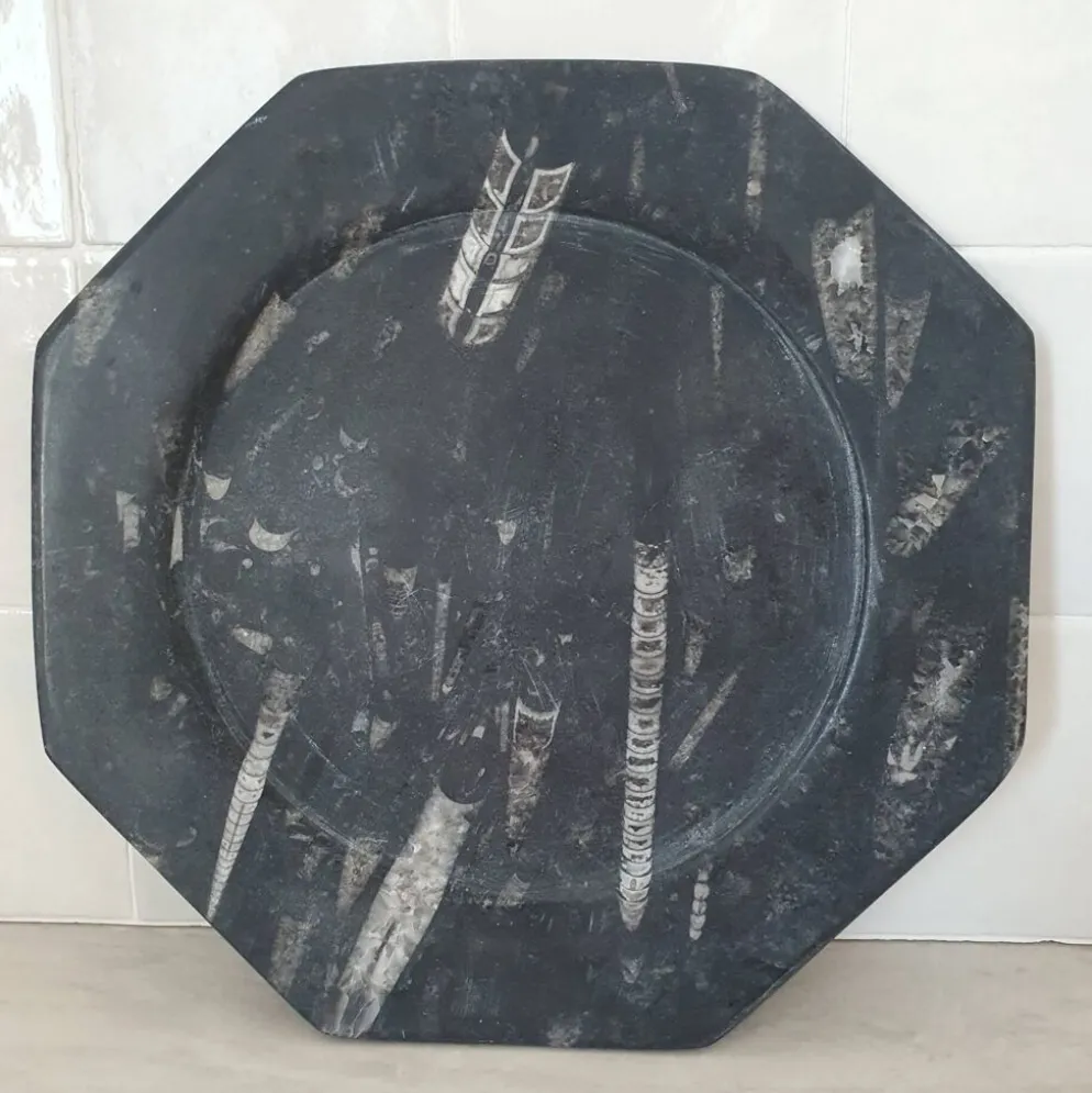 Assiette décorative en marbre fossilisé orthoceras