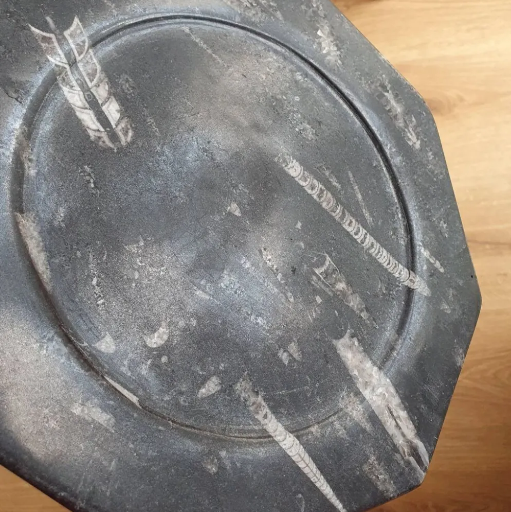 Assiette décorative en marbre fossilisé orthoceras