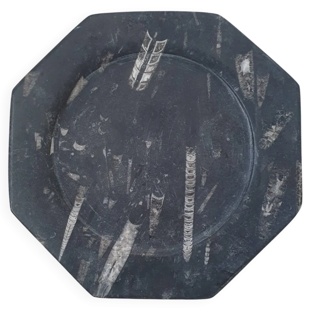 Assiette décorative en marbre fossilisé orthoceras