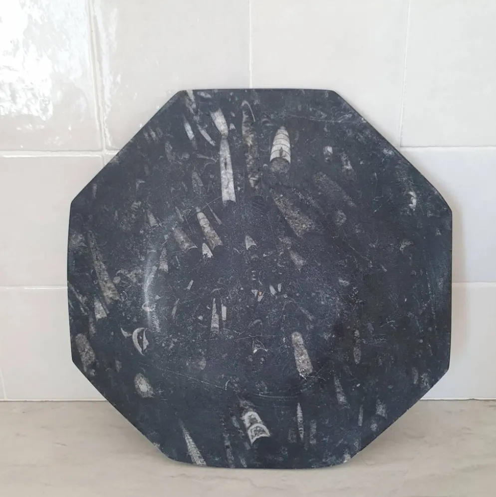 Assiette décorative en marbre fossilisé orthoceras
