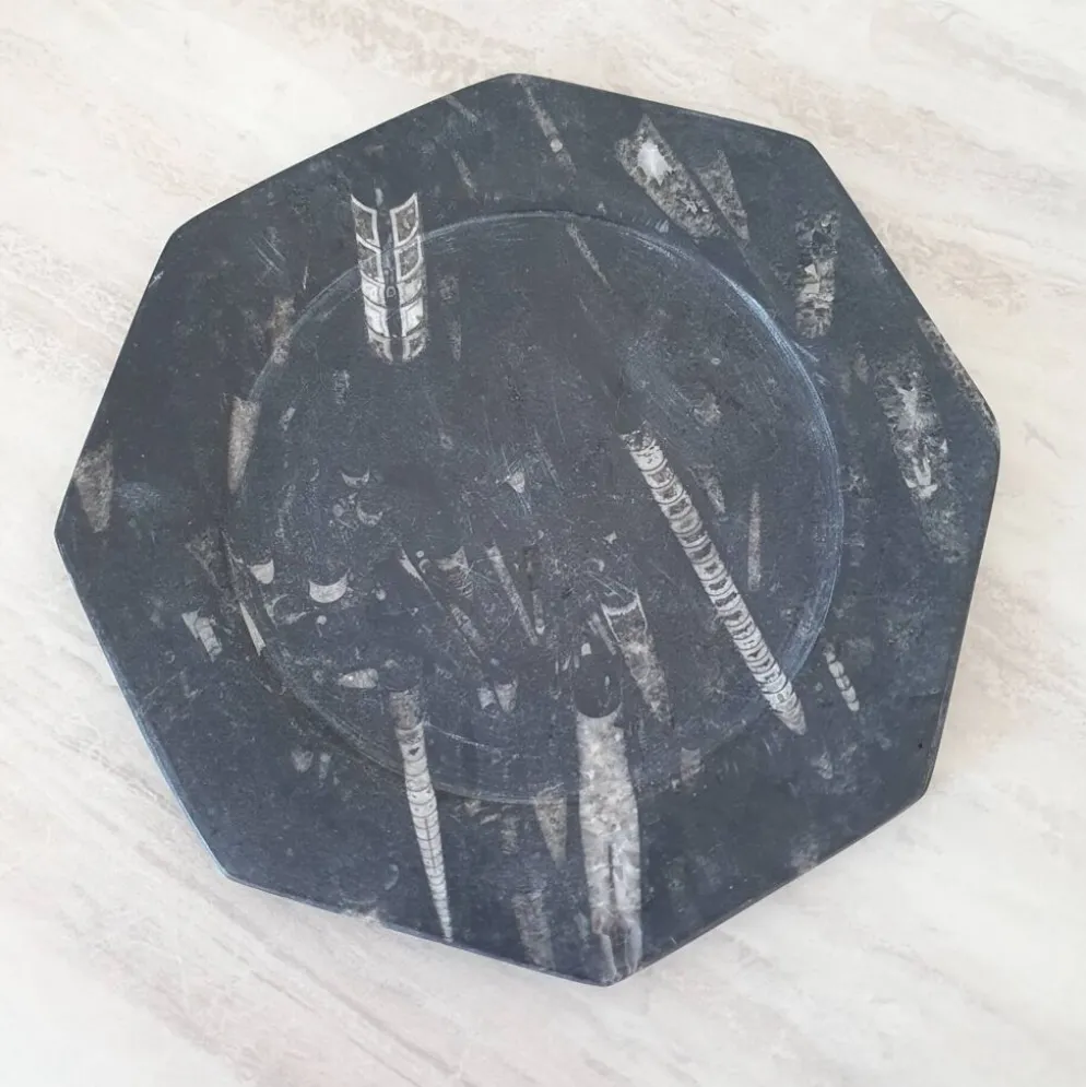 Assiette décorative en marbre fossilisé orthoceras