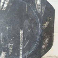 Assiette décorative en marbre fossilisé orthoceras