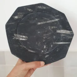 Assiette décorative en marbre fossilisé orthoceras