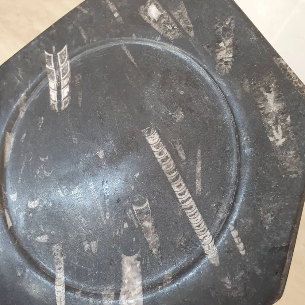 Assiette décorative en marbre fossilisé orthoceras