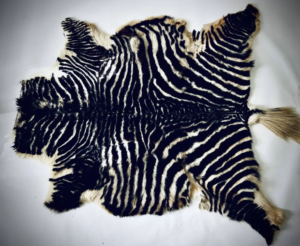 Authentic vintage zebra skin