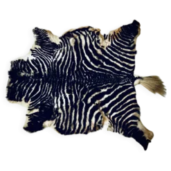 Authentic vintage zebra skin