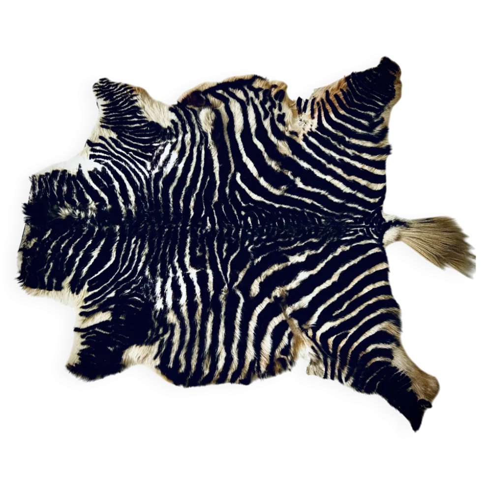 Authentic vintage zebra skin