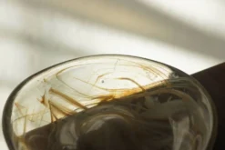 Bol en verre danois modèle 868 par Michael Bang pour Holmegaard, années 1970.