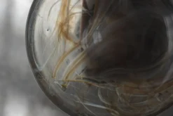 Bol en verre danois modèle 868 par Michael Bang pour Holmegaard, années 1970.