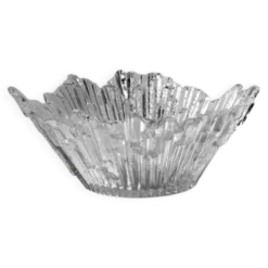 Bol en verre à glace