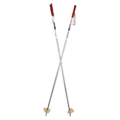 Bâtons de ski vintage