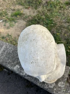 Buste ancien en plâtre, début XXeme