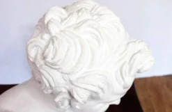 Buste de Faune en plâtre