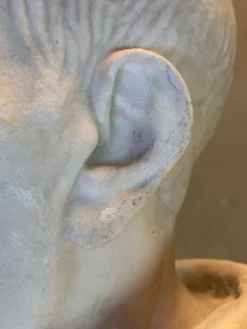 Buste de l’empereur Galba, marbre blanc de Carrare, XVIIIème siècle