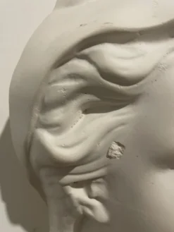 Buste de Marianne en plâtre modèle Mauger