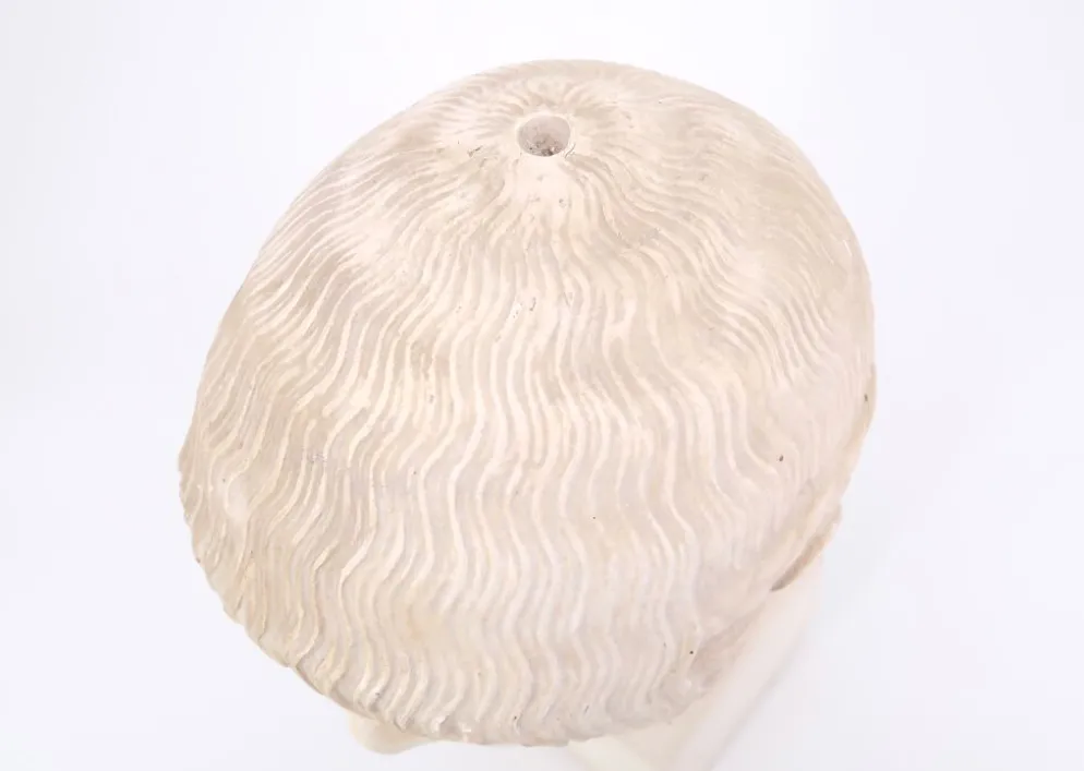 Buste d'homme en plâtre de l'Ephebe blond, années 70