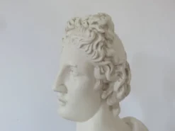 Buste en plâtre