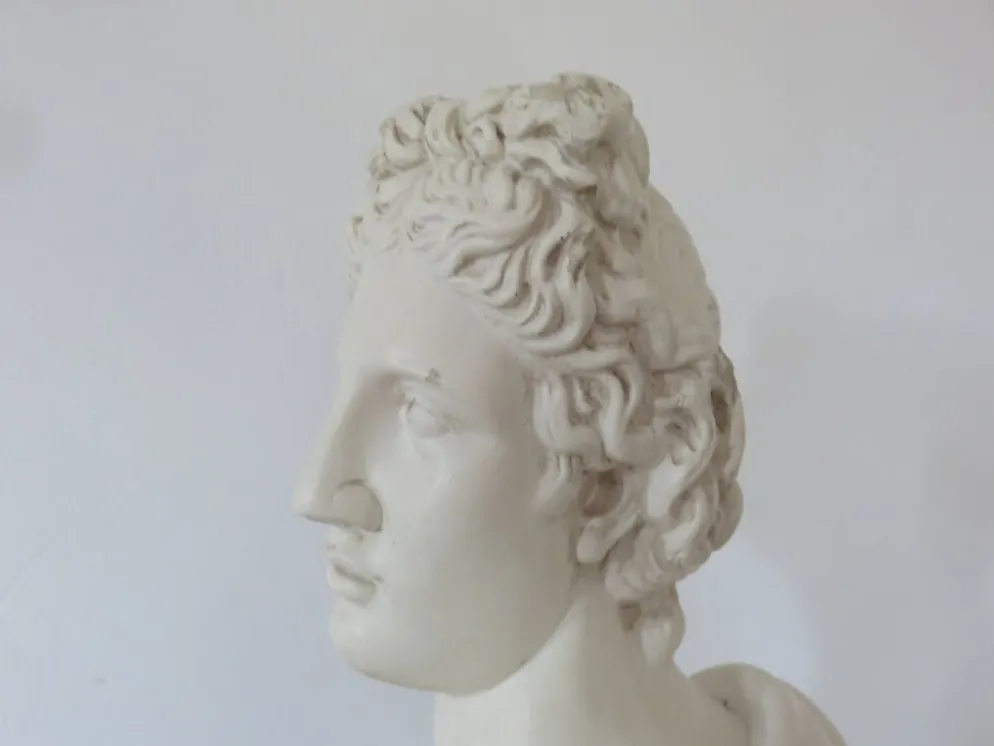 Buste en plâtre "Apollon", début XXème