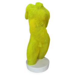 Buste Homme acrylique Olivier Duhamel