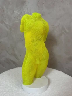Buste Homme acrylique Olivier Duhamel