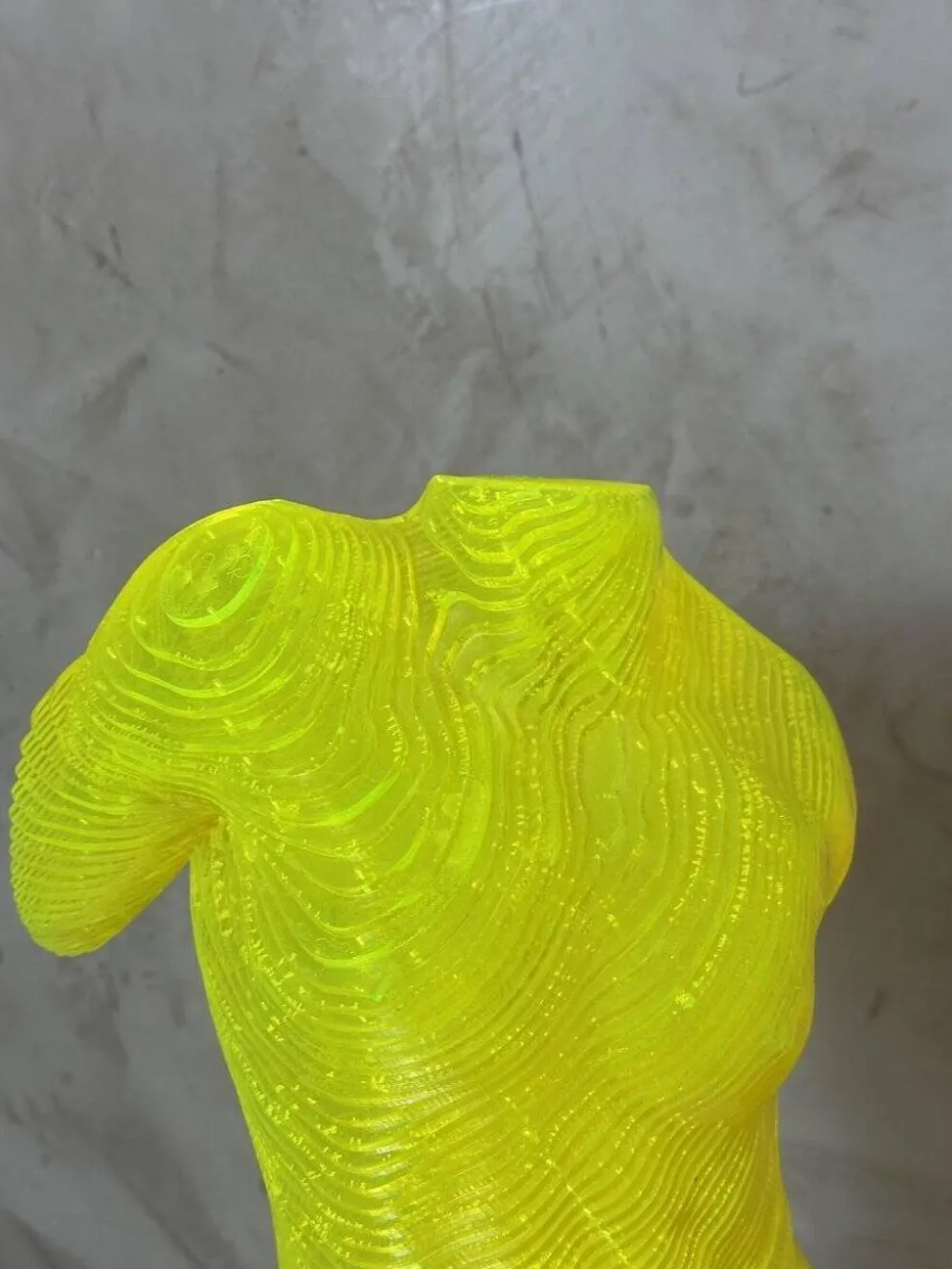 Buste Homme acrylique Olivier Duhamel