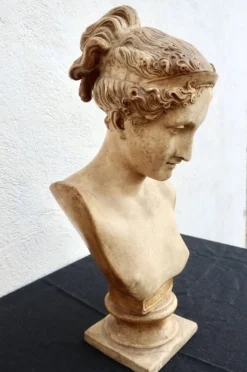 Buste à l'antique en plâtre d'après Antonio Canova, 